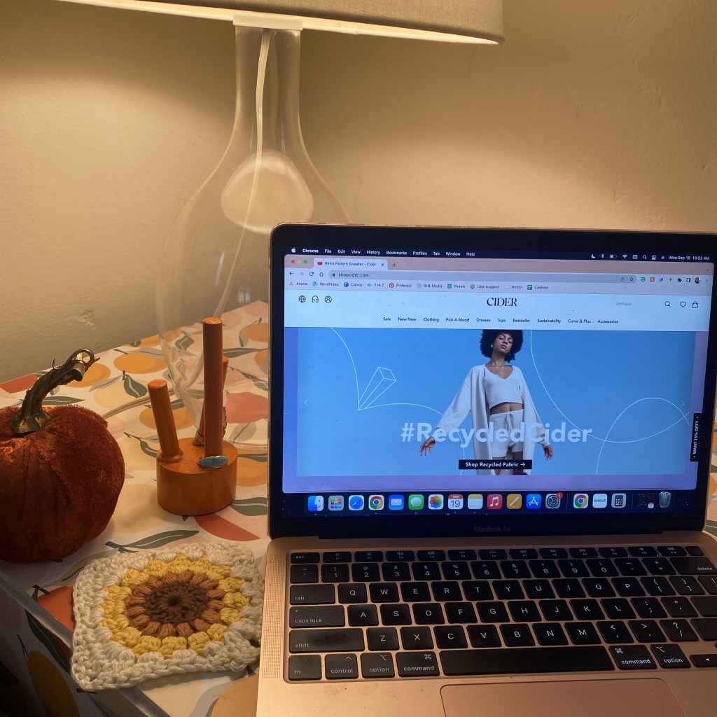 Is Cider Fast Fashion? A Look At The Brand's Sustainability Efforts